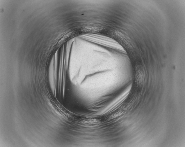 X0000087390459200705111805