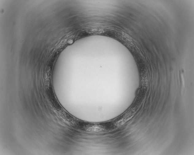 X0000087390460200705111805