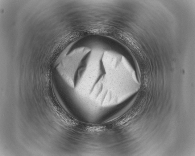 X0000087390461200705111805