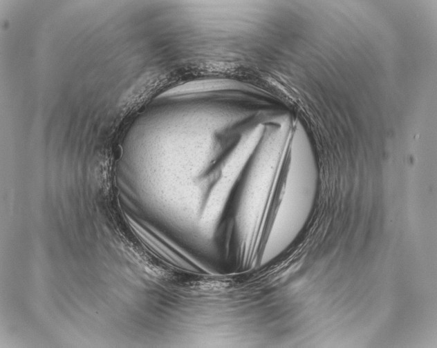 X0000087390462200705111805