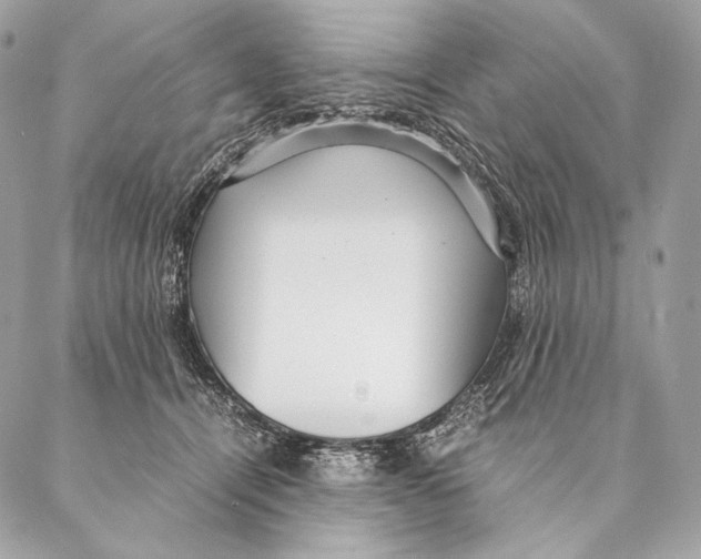 X0000087390464200705111805