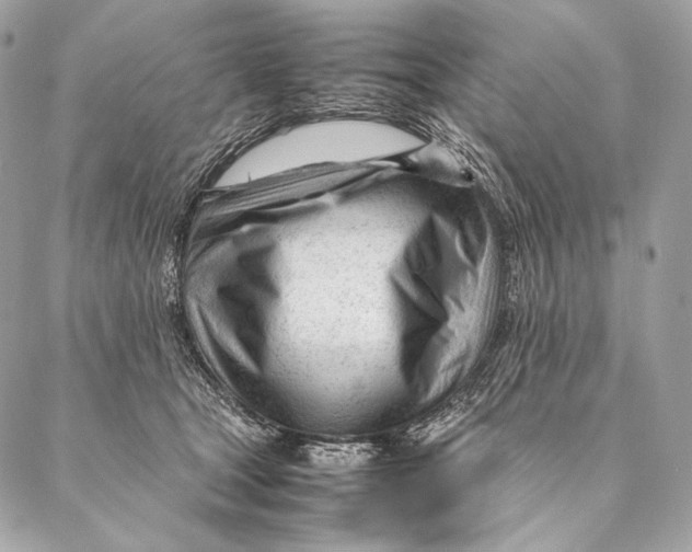 X0000087390465200705111805