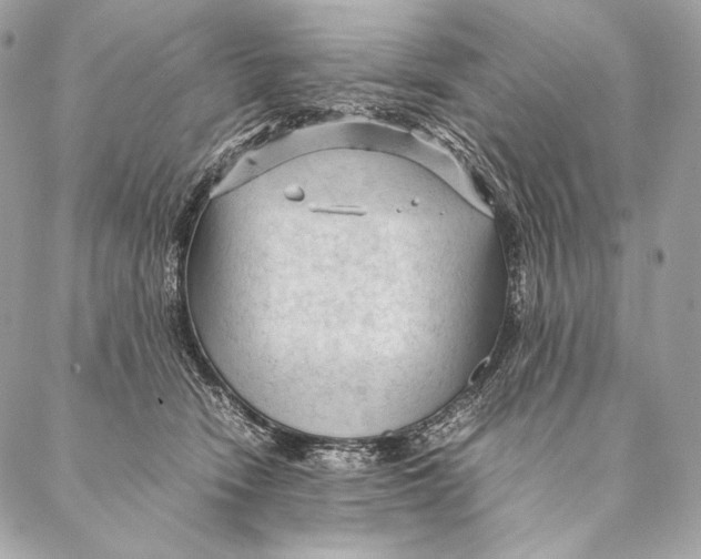 X0000087390466200705111805