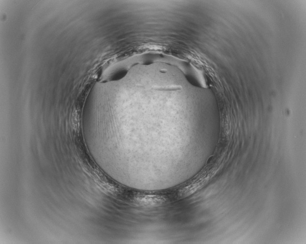 X0000087390467200705111805