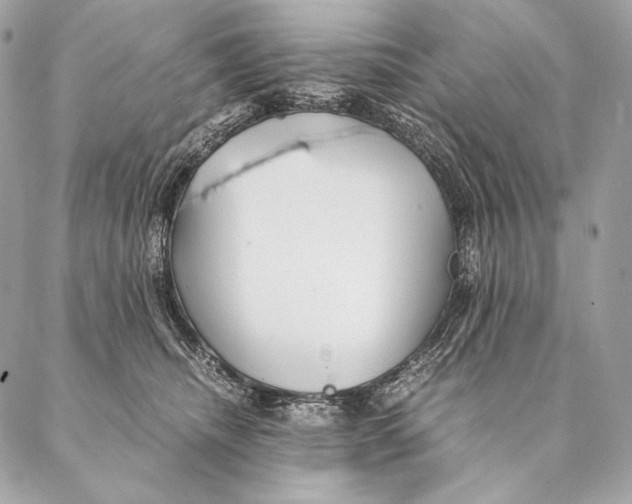 X0000087390468200705111805