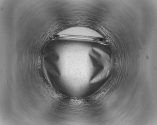 X0000087390469200705111805