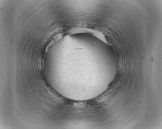 X0000087390470200705111805