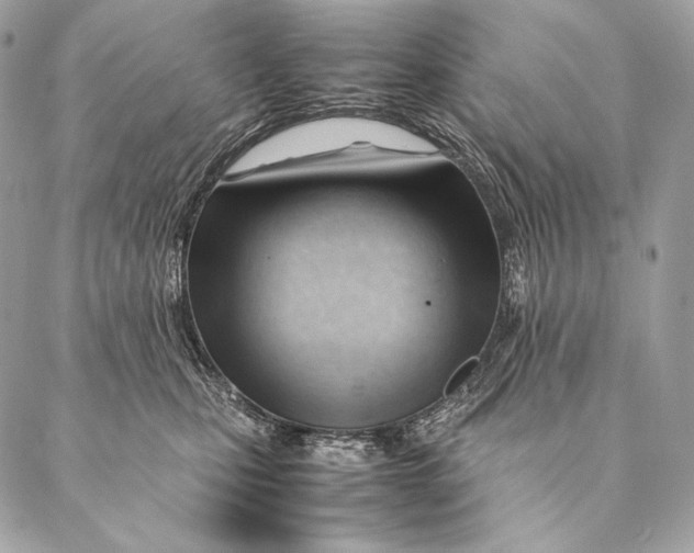 X0000087390471200705111805