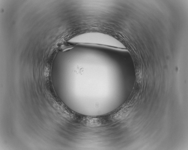 X0000087390472200705111805