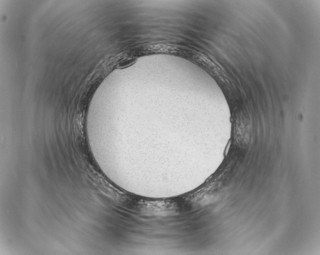 X0000087390473200705111805