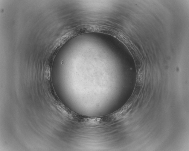 X0000087390474200705111805