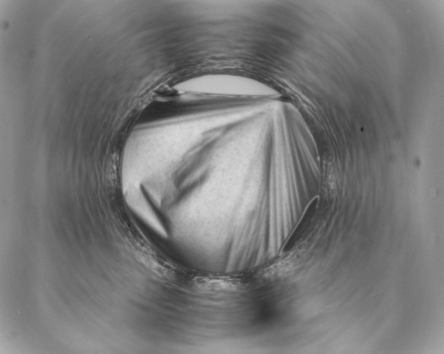 X0000087390475200705111805