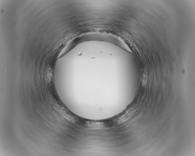 X0000087390476200705111805