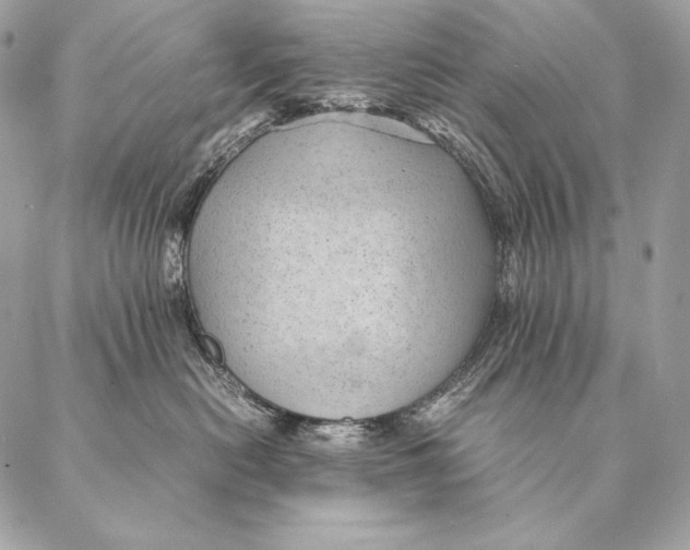 X0000087390478200705111805