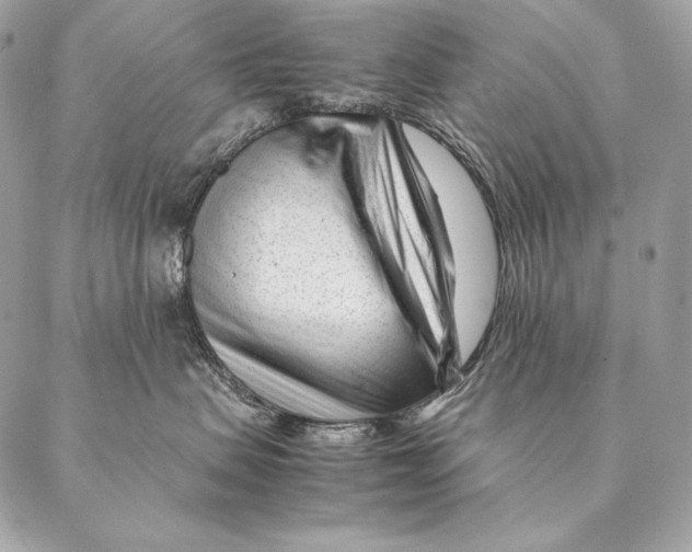 X0000087390479200705111805