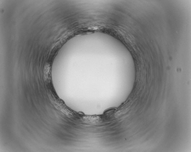 X0000087390480200705111805