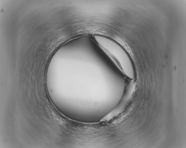 X0000087390481200705111804