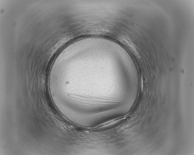 X0000087390483200705111804