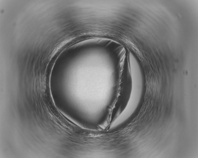 X0000087390484200705111804