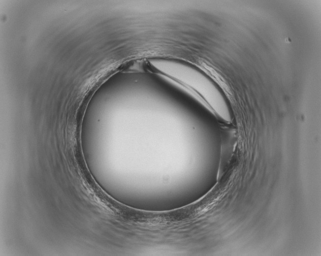 X0000087390485200705111804