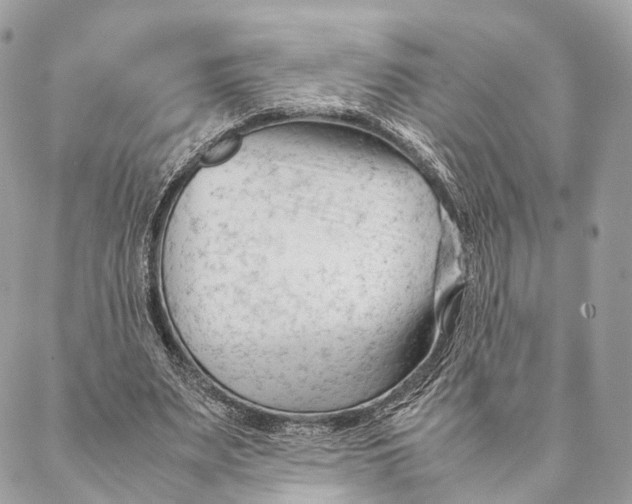 X0000087390487200705111804