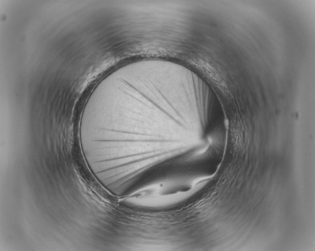 X0000087390488200705111804