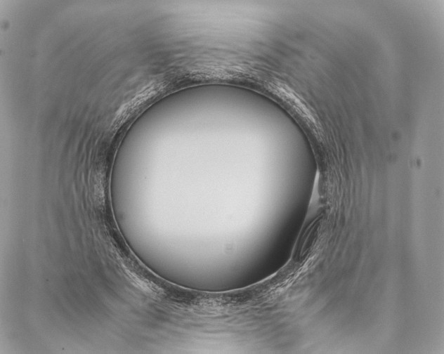 X0000087390489200705111804