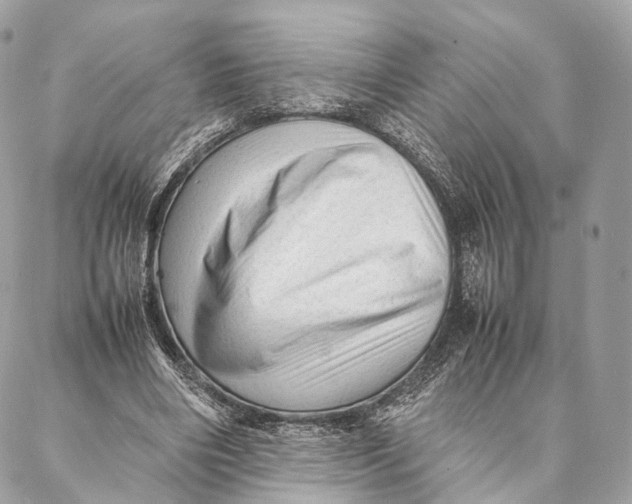 X0000087390490200705111804