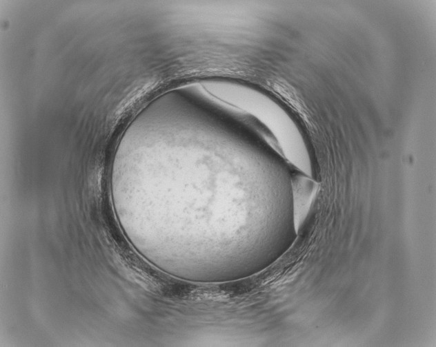 X0000087390491200705111804