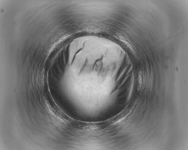 X0000087390492200705111804