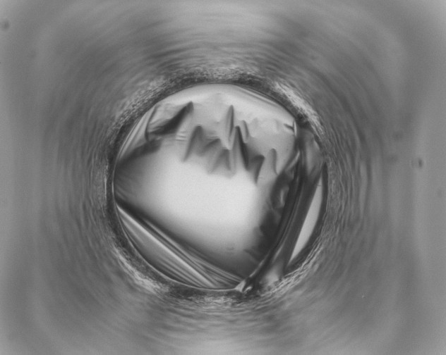 X0000087390493200705111804