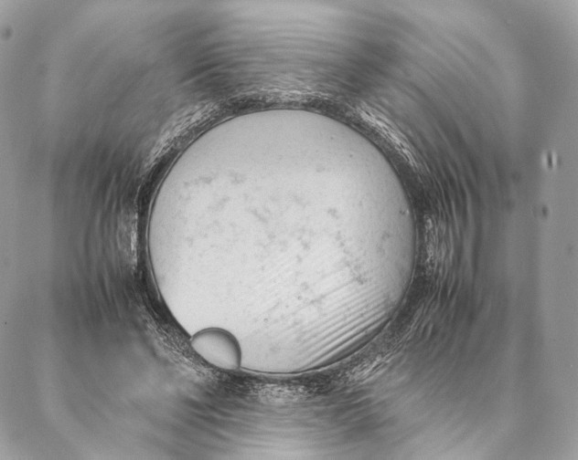 X0000087390494200705111804