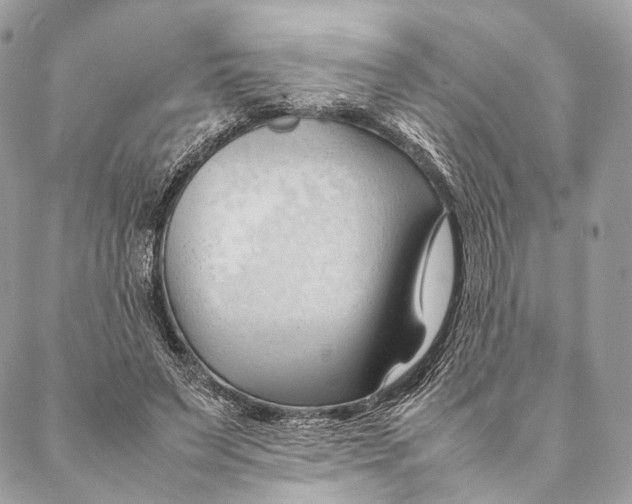 X0000087390495200705111804