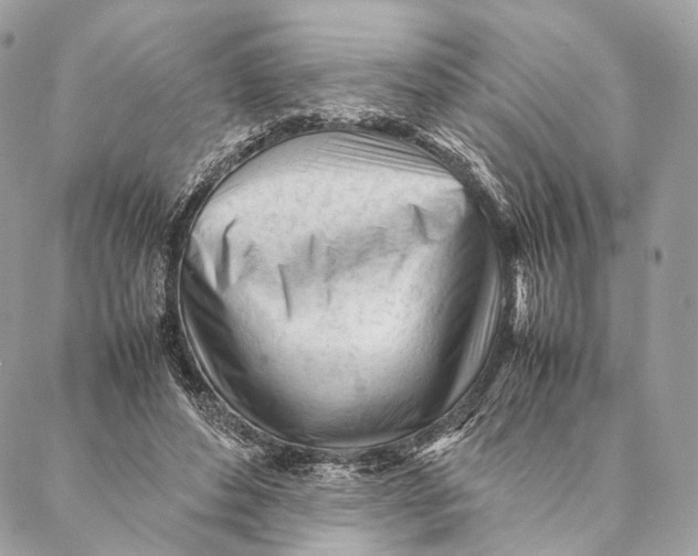 X0000087390496200705111804