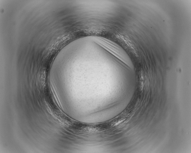 X0000087390498200705111804