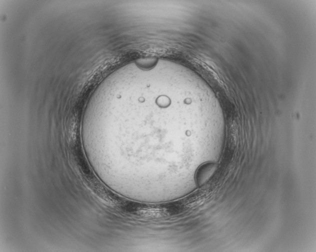 X0000087390499200705111804