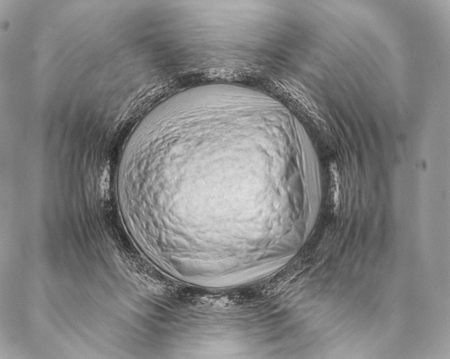 X0000087390502200705111804