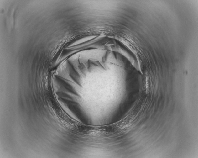 X0000087390504200705111804