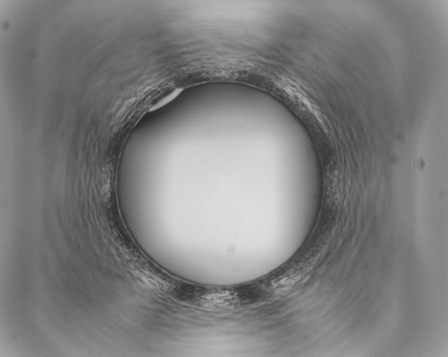 X0000087390505200705111804