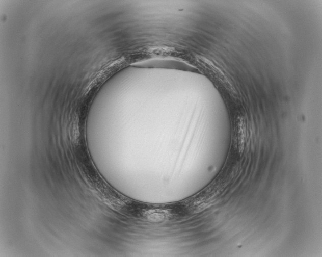 X0000087390508200705111804