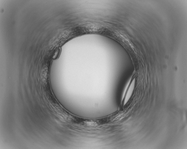 X0000087390509200705111804