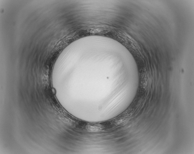 X0000087390510200705111804