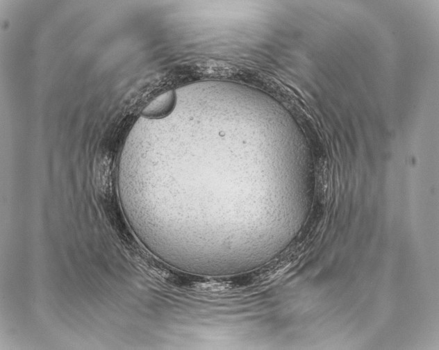 X0000087390511200705111804