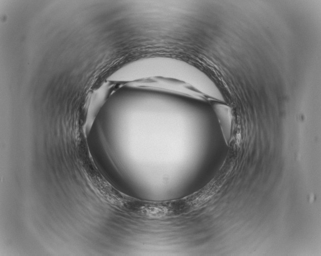 X0000087390512200705111804