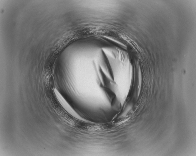 X0000087390513200705111804