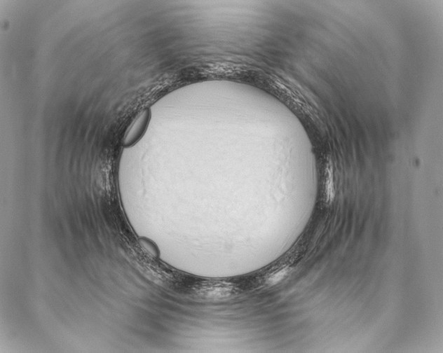 X0000087390514200705111804