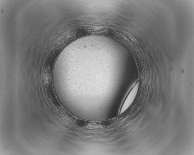 X0000087390515200705111804