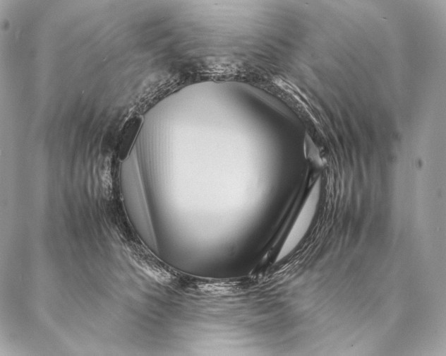 X0000087390516200705111804