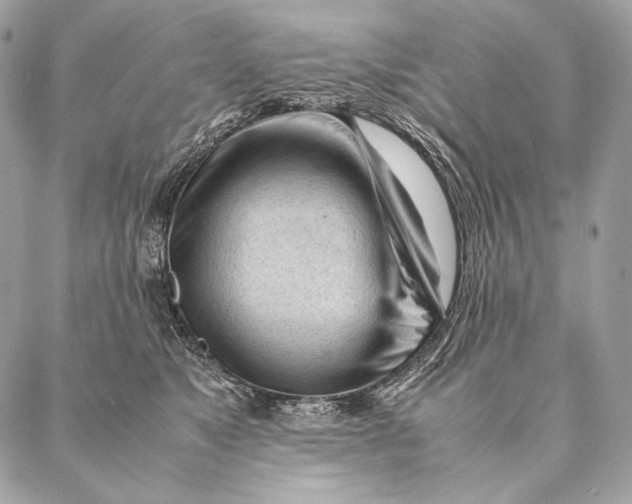 X0000087390517200705111804