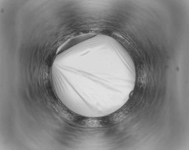 X0000087390518200705111804